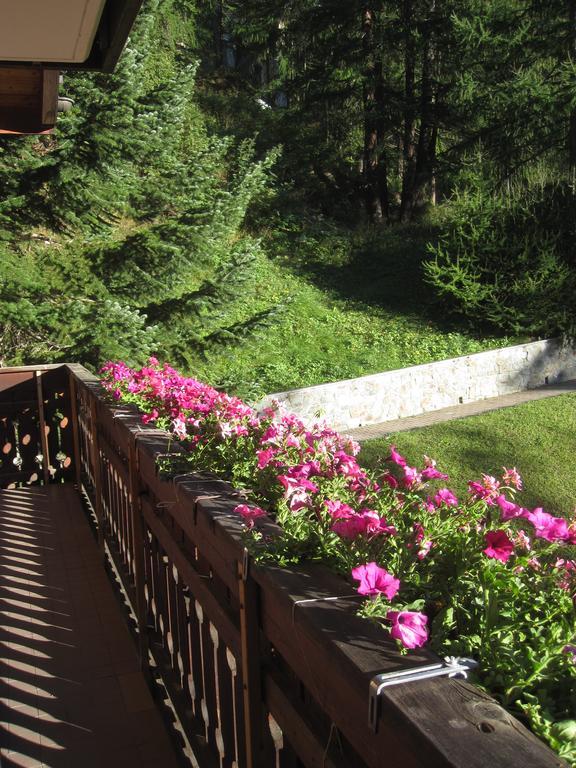Apartment Haus Marico Zermatt