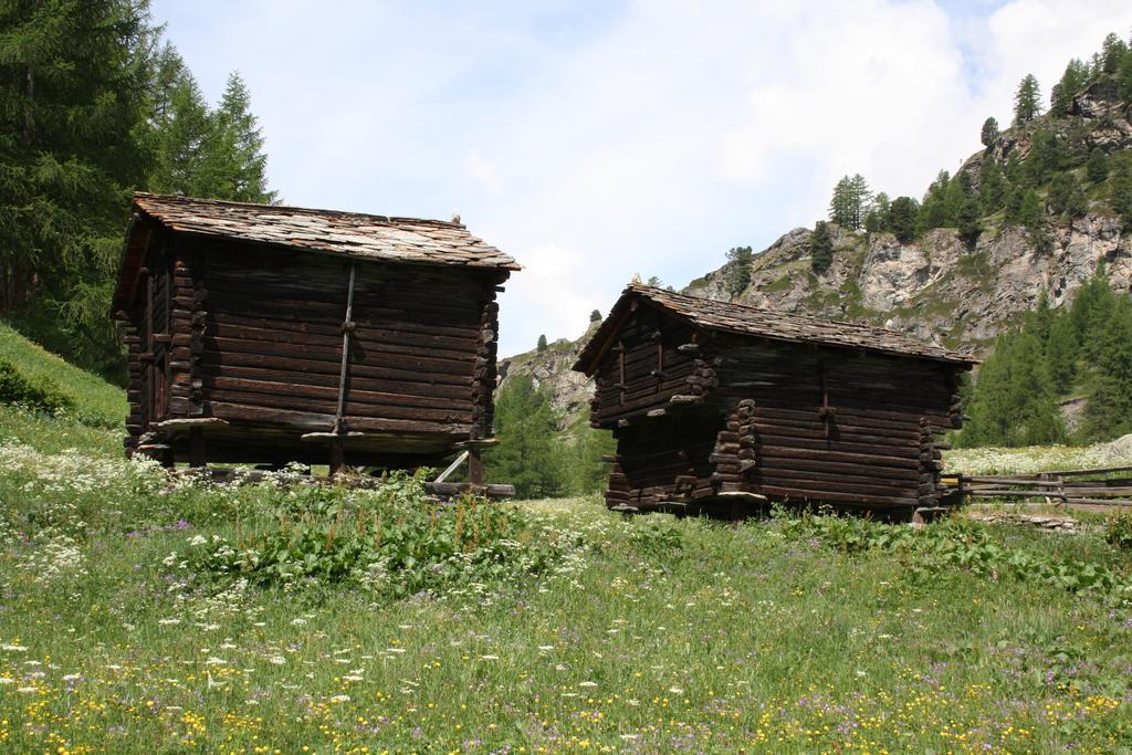 Hinter Dem Rot Stei