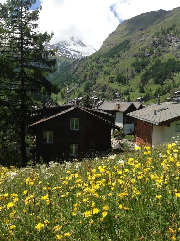 Apartment Oberhausern Zermatt