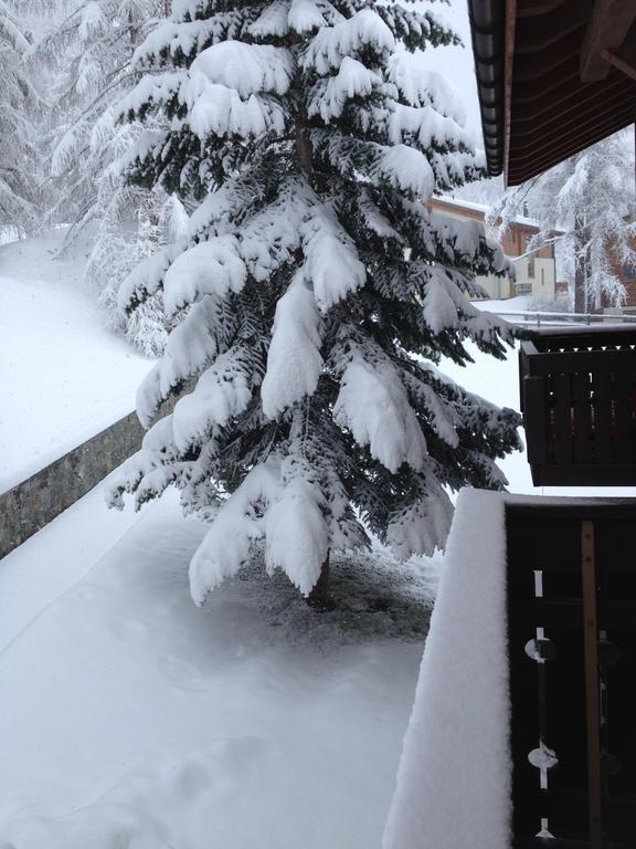 Haus Marico * Zermatt