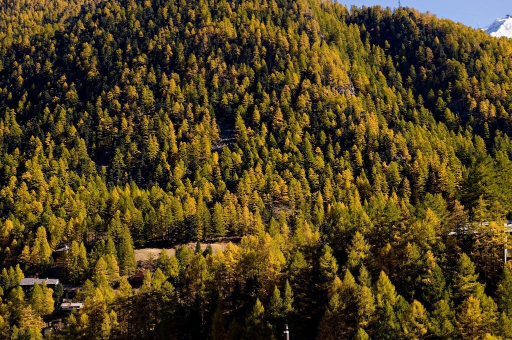 Good Value By Mountain Exposure