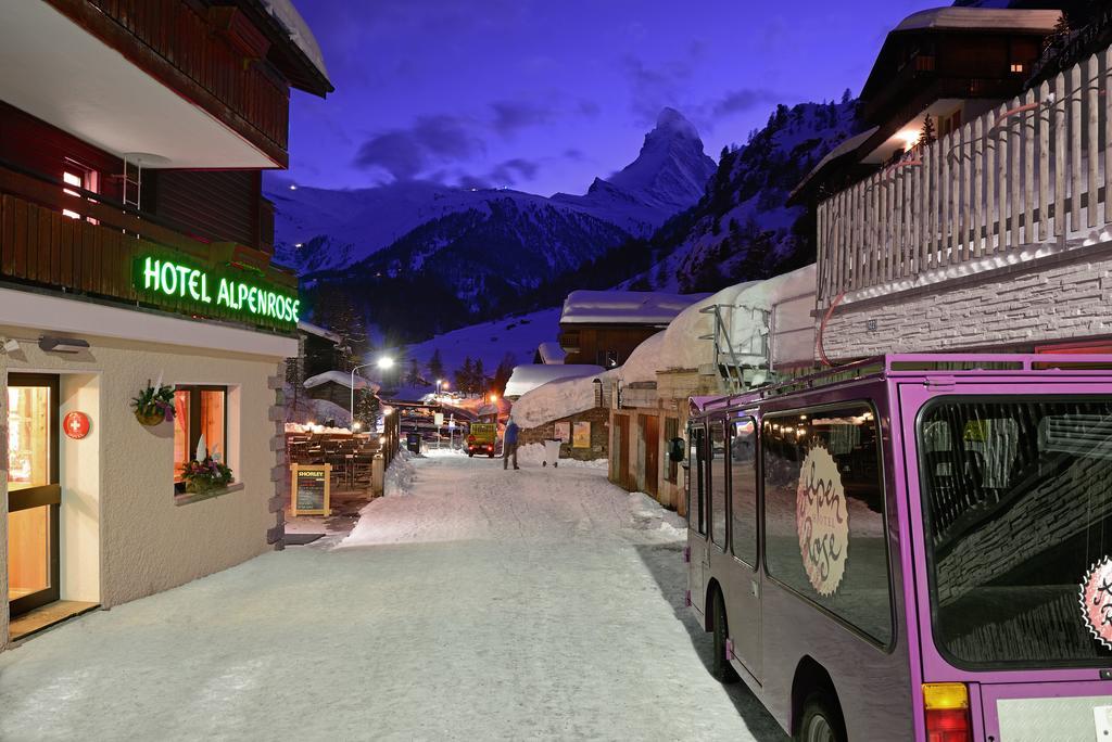 Alpenrose