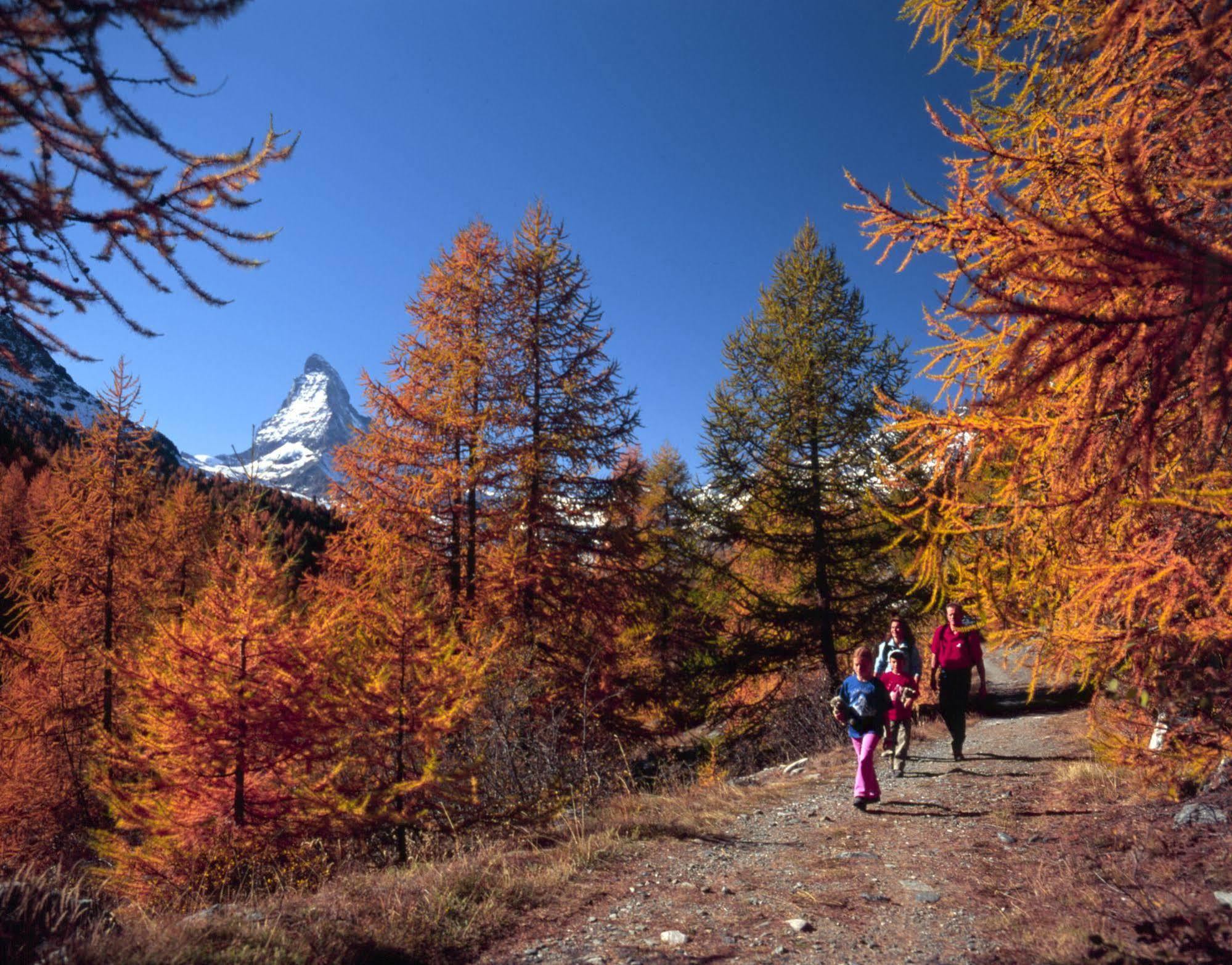 Sunstar 4* Zermatt