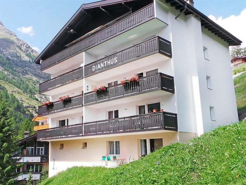 Dianthus 1 Hotel