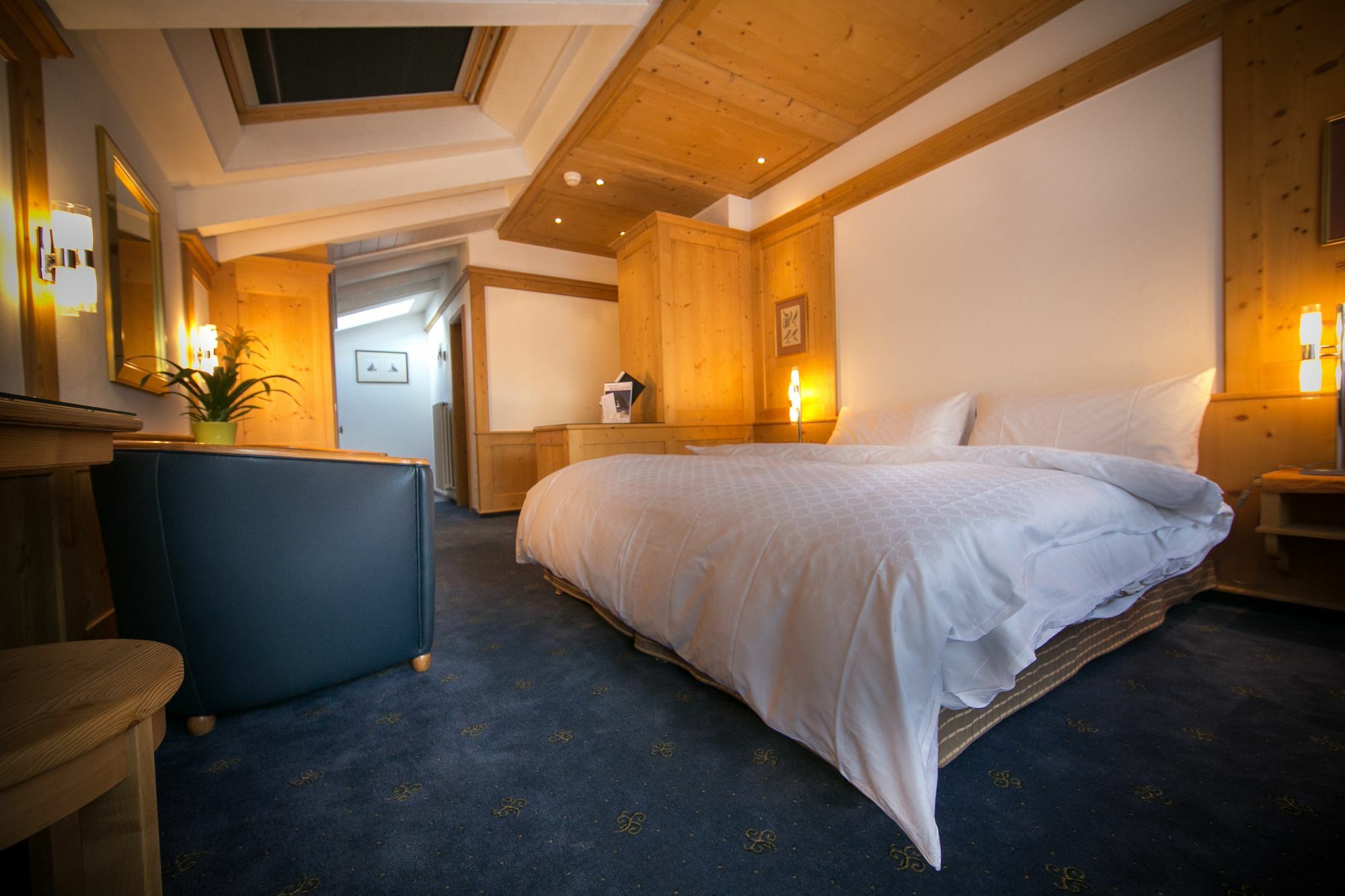 Hotel Arca & 3*