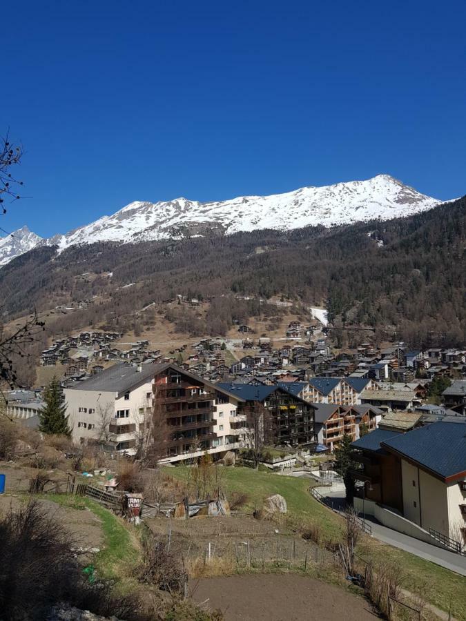 Ferienwohnung Zayetta Ice Cube Nr. 11 Zermatt