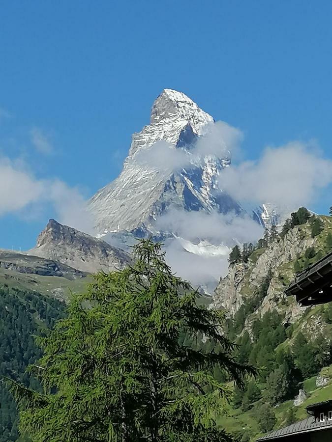 Petit Helvetia Budget Hotel 2*