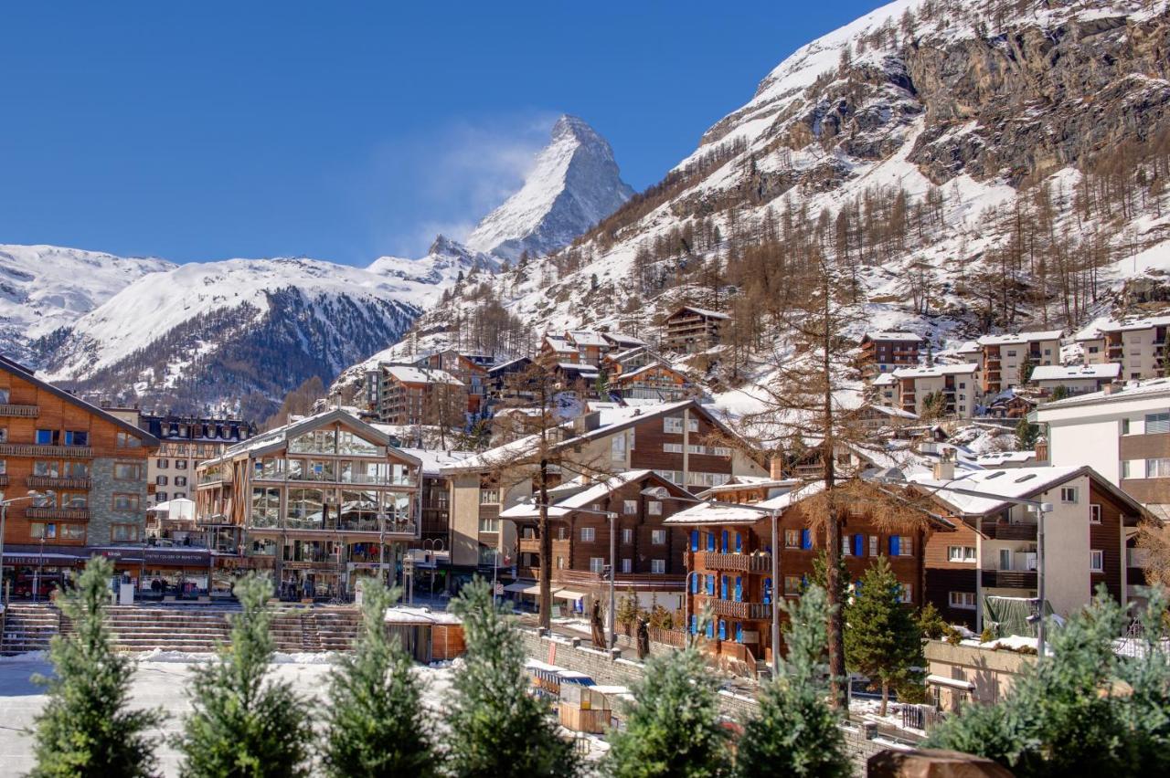 Luxury & By Mountain Exposure Apartment