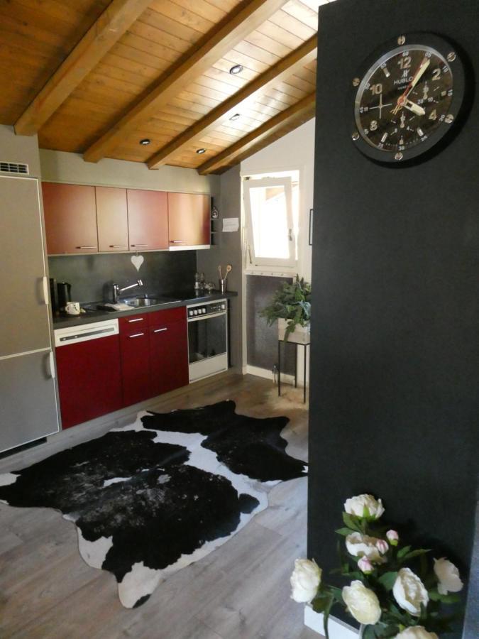 Apartment Central & Elegant Apartments,Partially With Fireplace, By Zermatt Rental *