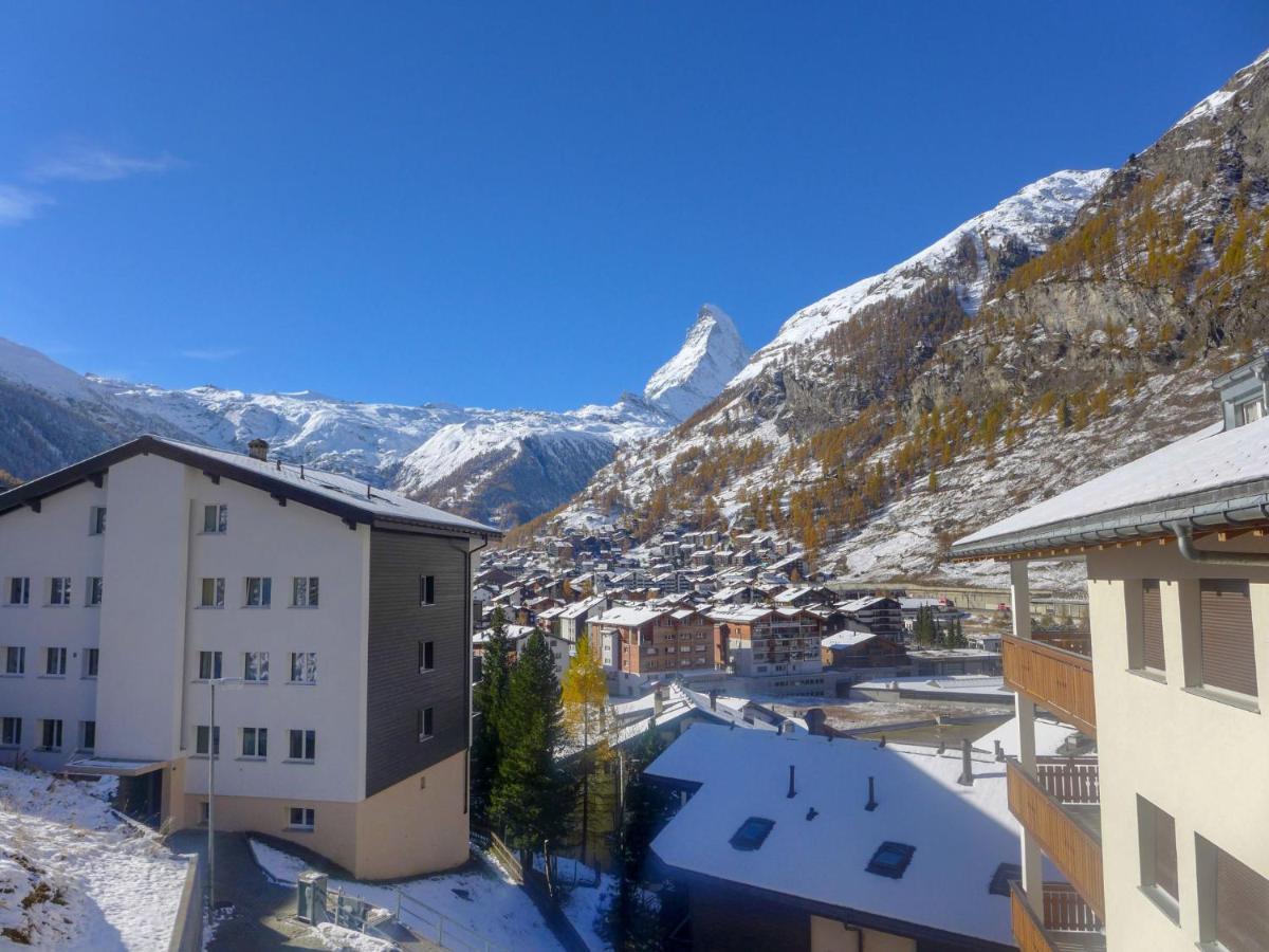 Viscaria.1 Zermatt