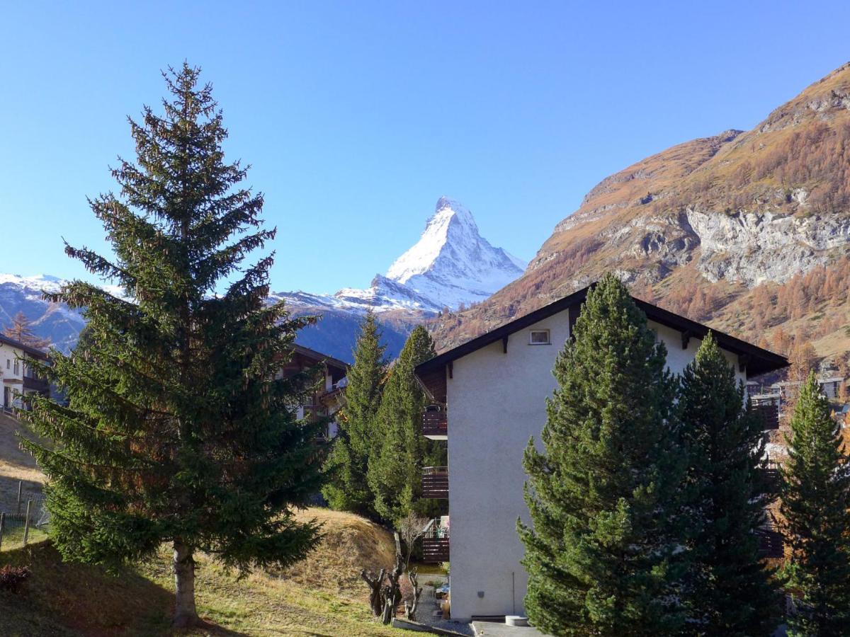 St- Bernhard By Interhome Apartment *