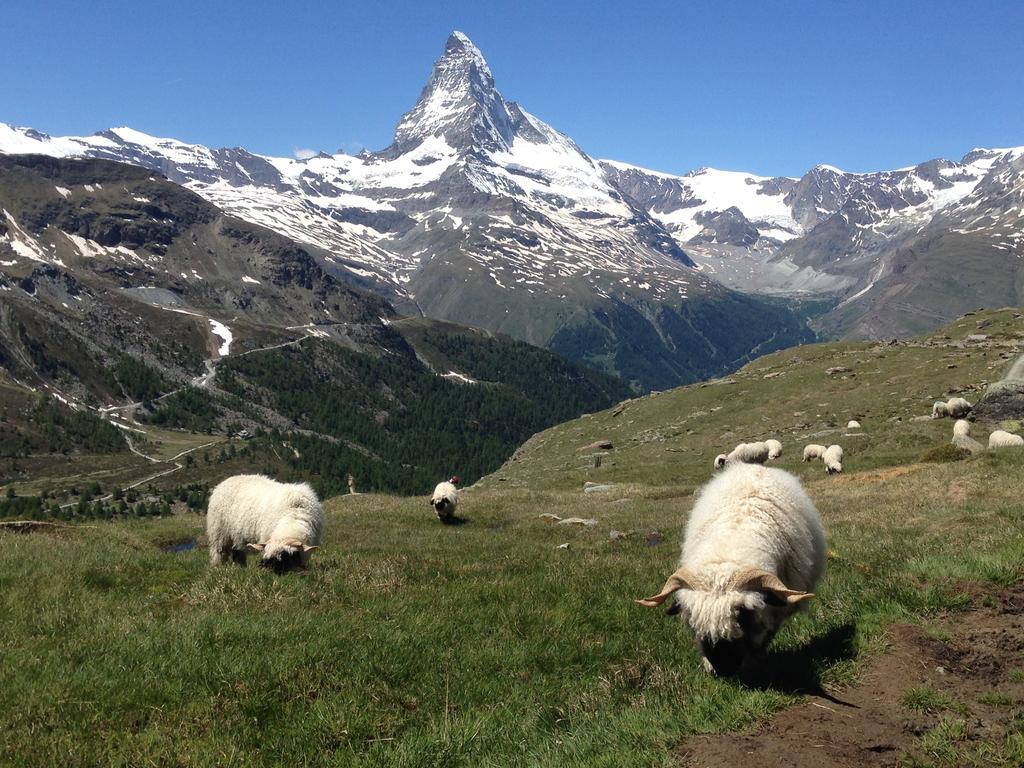 Haus Viktoria A Zermatt