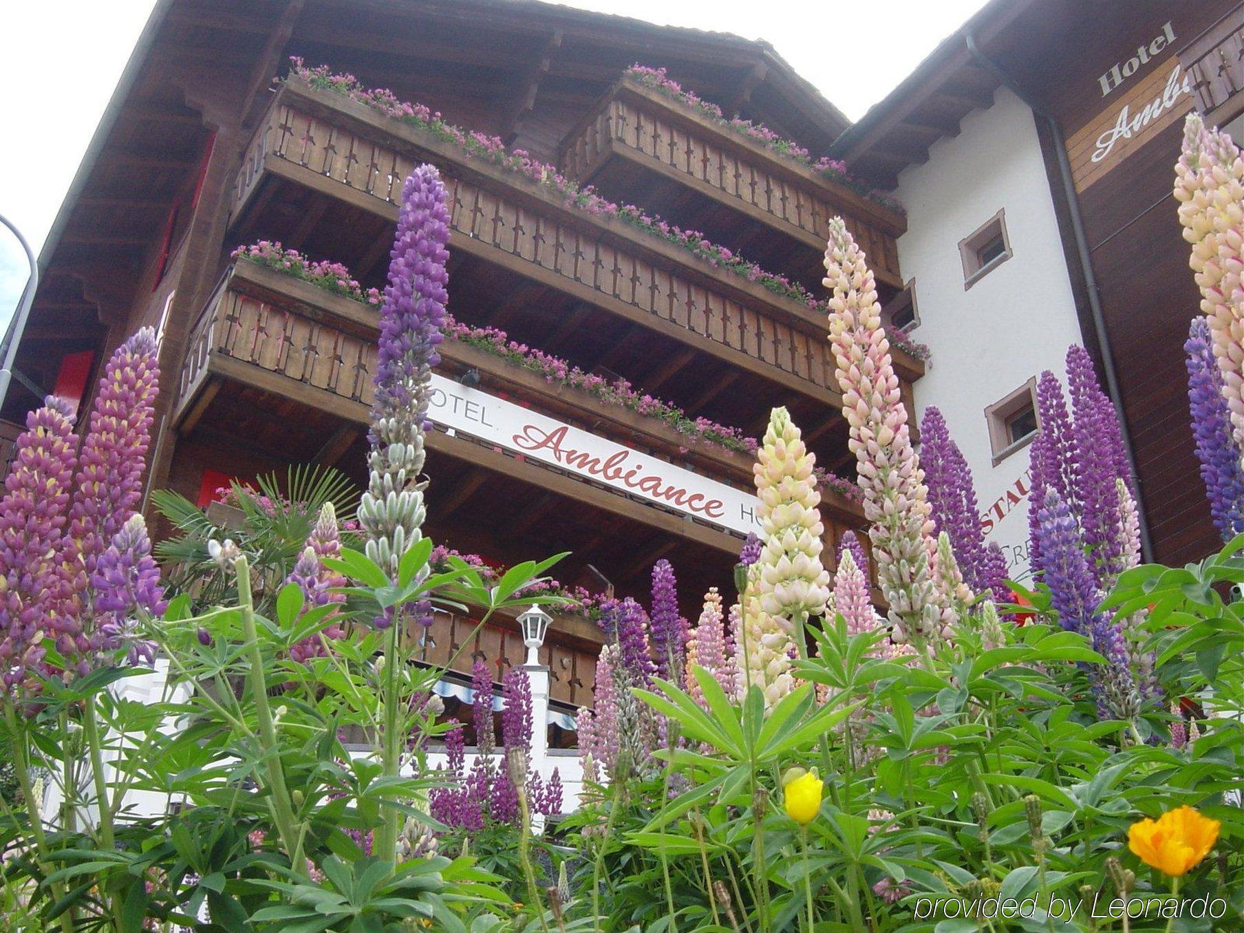 Ambiance Hotel