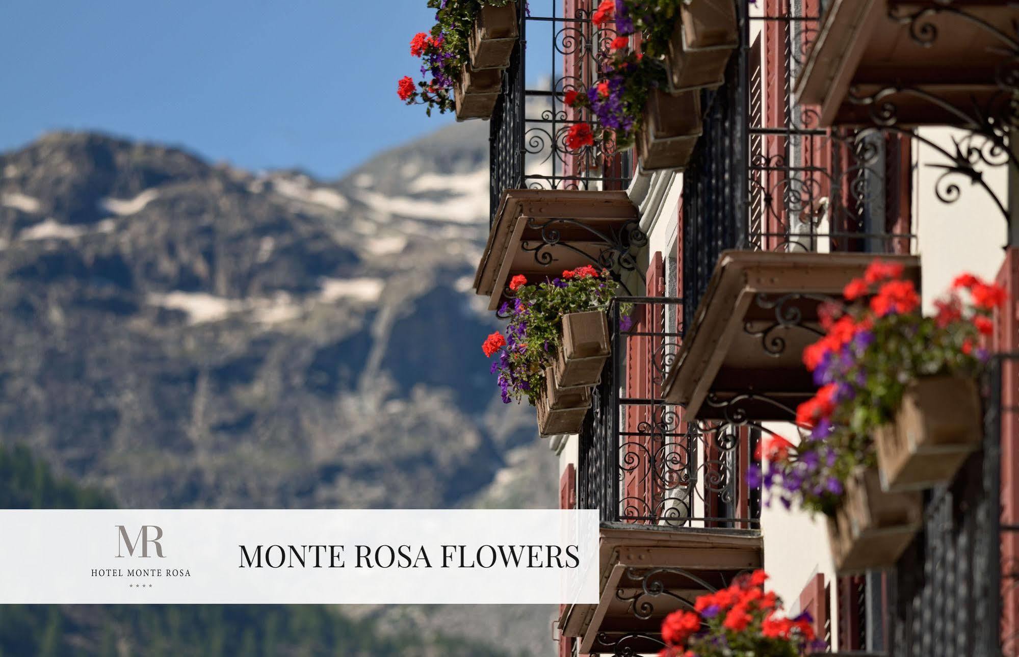 Hotel Monte Rosa Boutique