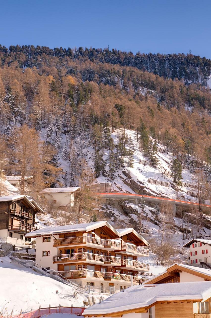 Haus Zenith Apartment Zermatt