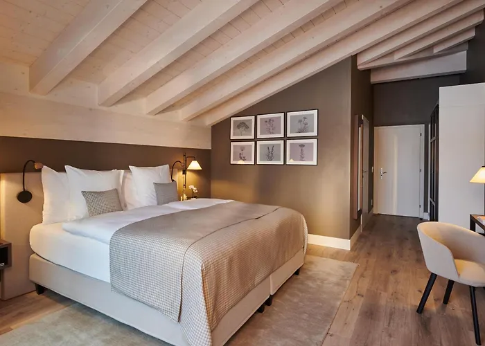 Schloss Zermatt - Cbd & Adaptogenic Spa And Sport Hotel