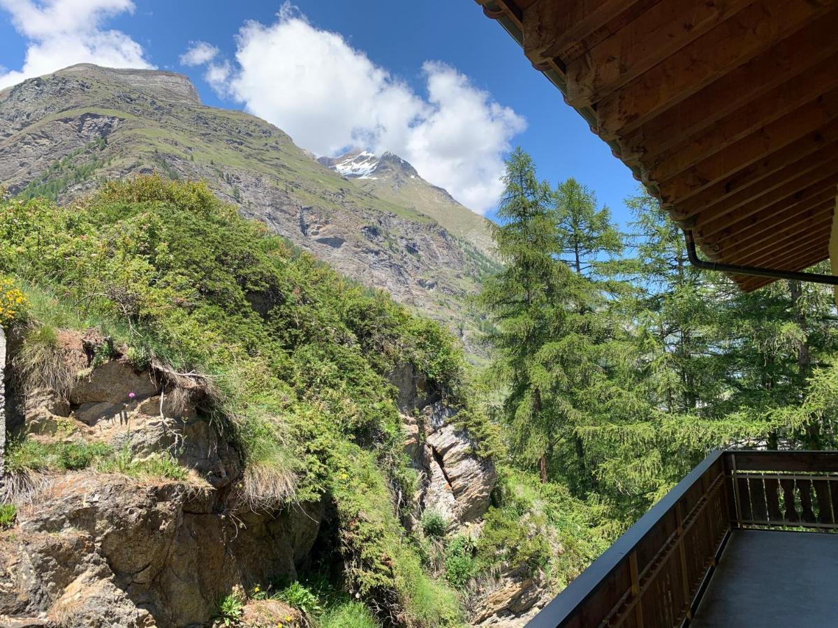 Paradies Apartamento