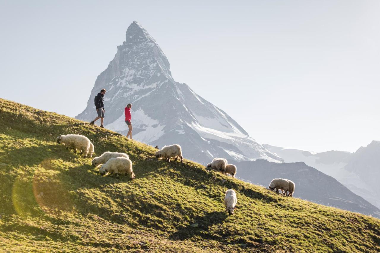 Chalet Peak - Your Own Private Luxury - Includes Professional Staff And Catering - Voted World's *