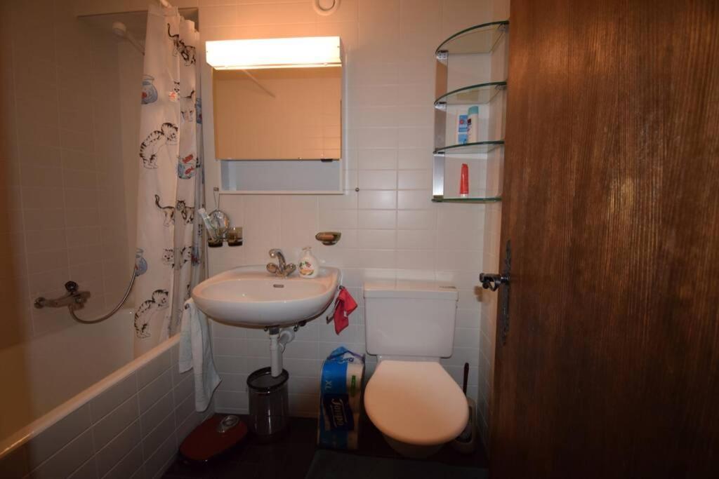 Studio Et Chaleureux 1 Apartment *