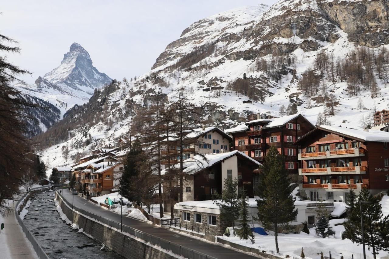 Eagle With Splendid And Direct View Of The Matterhorn * Zermatt