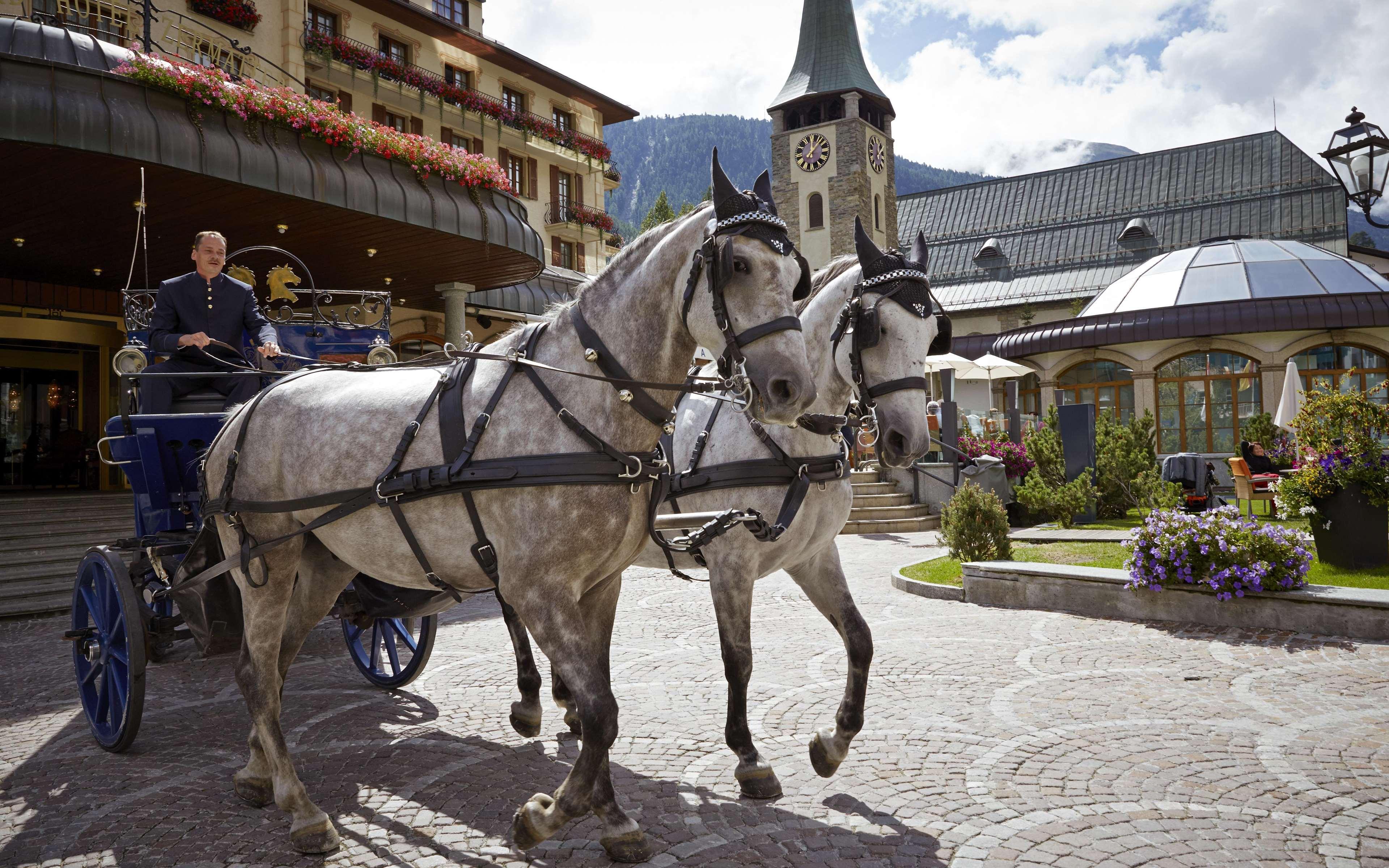 Grand Zermatterhof 5* Zermatt