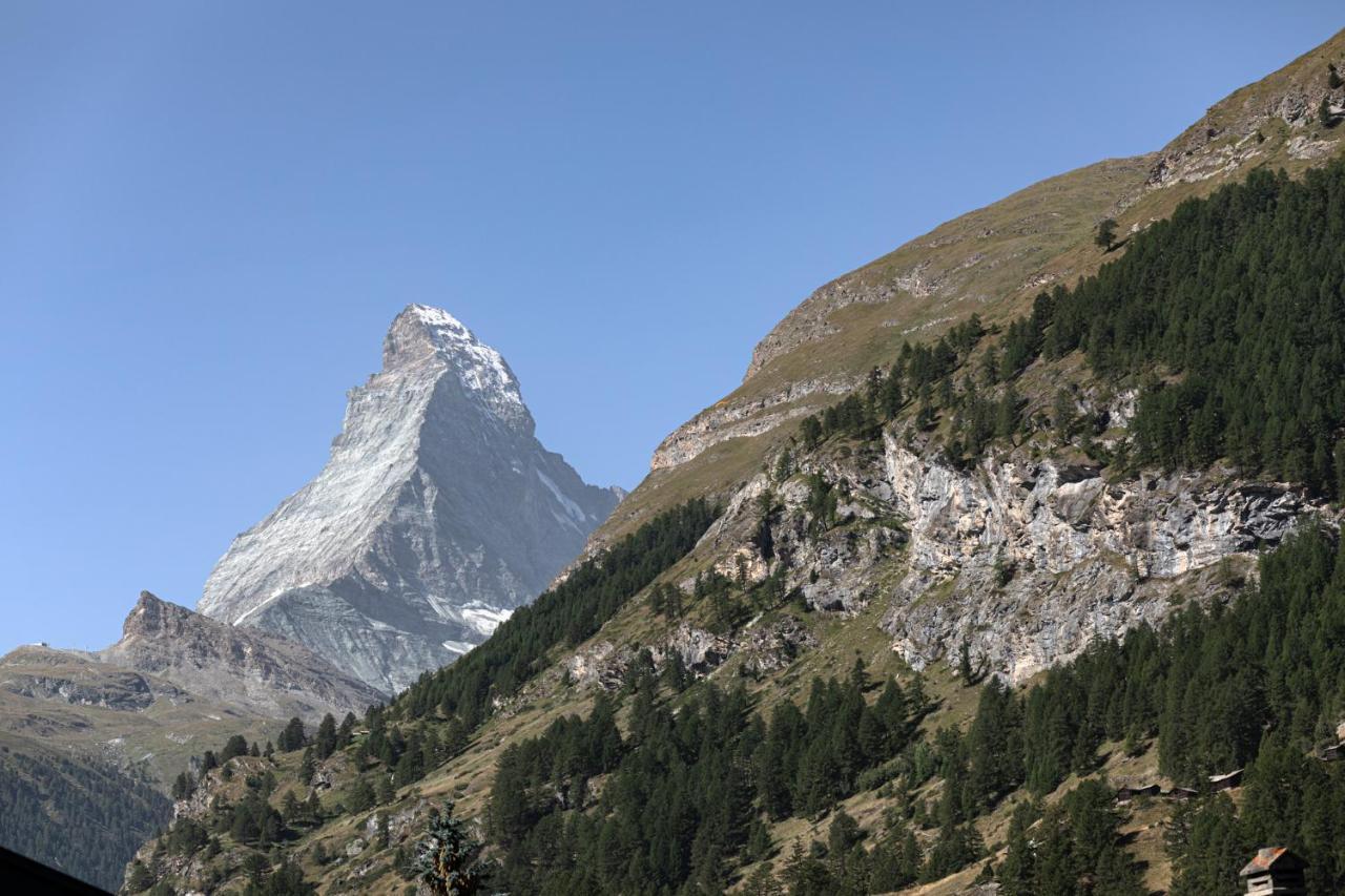 Joy - Matterhorn View Zermatt