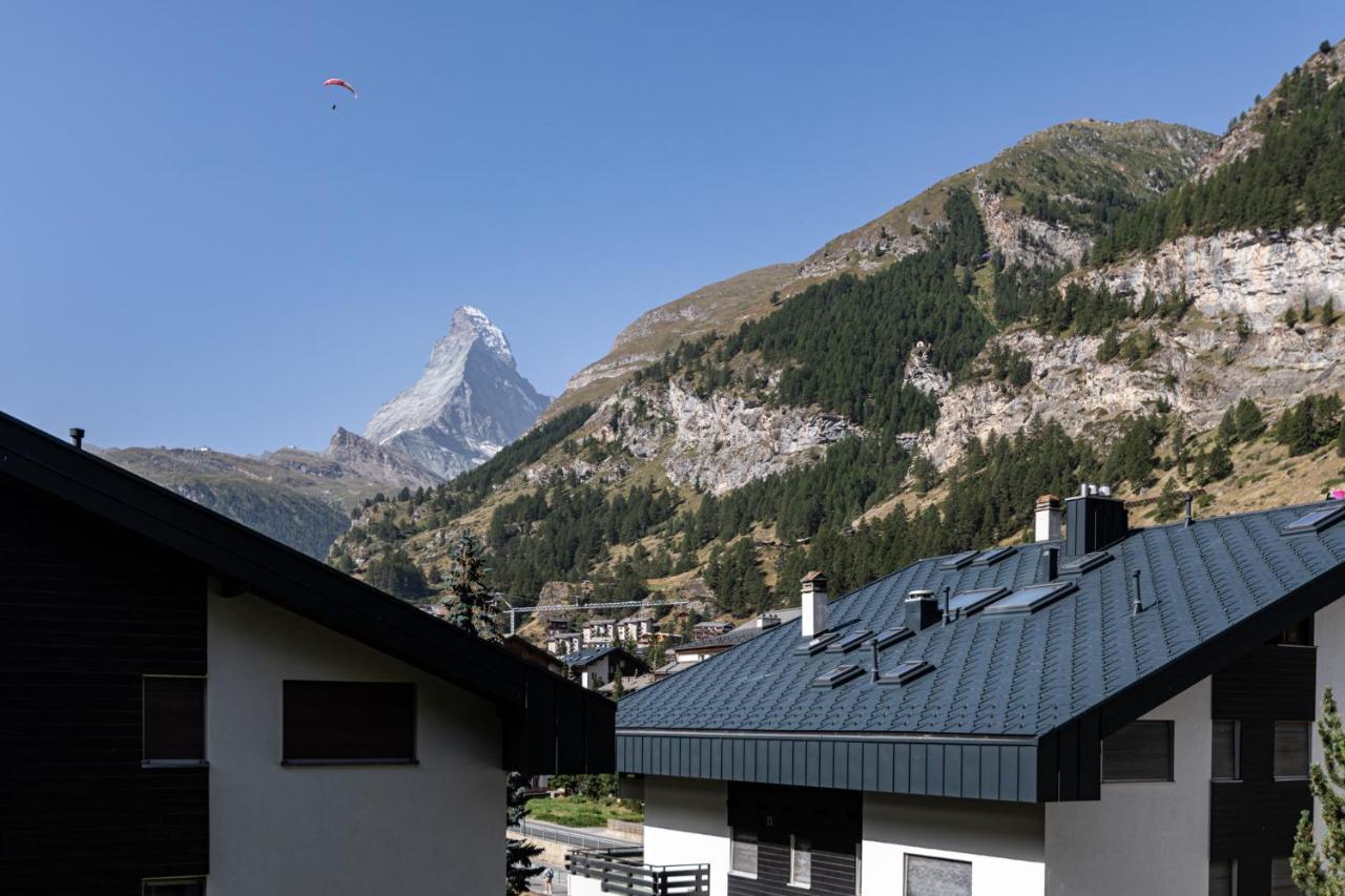 Joy - Matterhorn View *