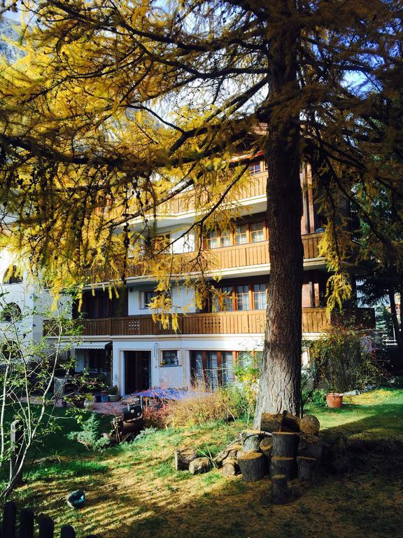 Haus Ares Apartment Zermatt
