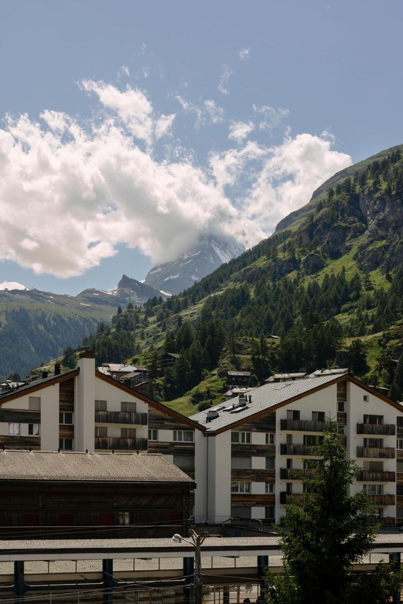 Hotel Schloss - Cbd & Adaptogenic And Sport