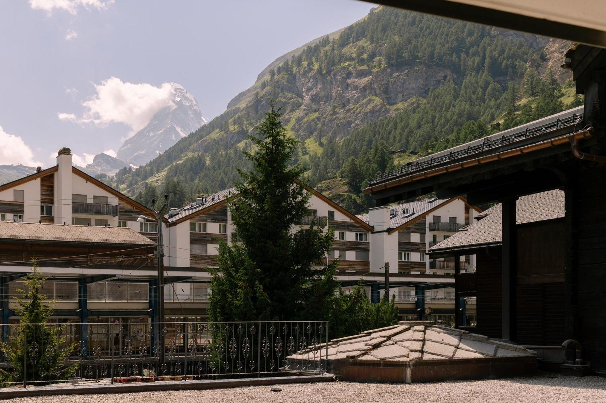 Hotel Schloss - Cbd & Adaptogenic And Sport 4*