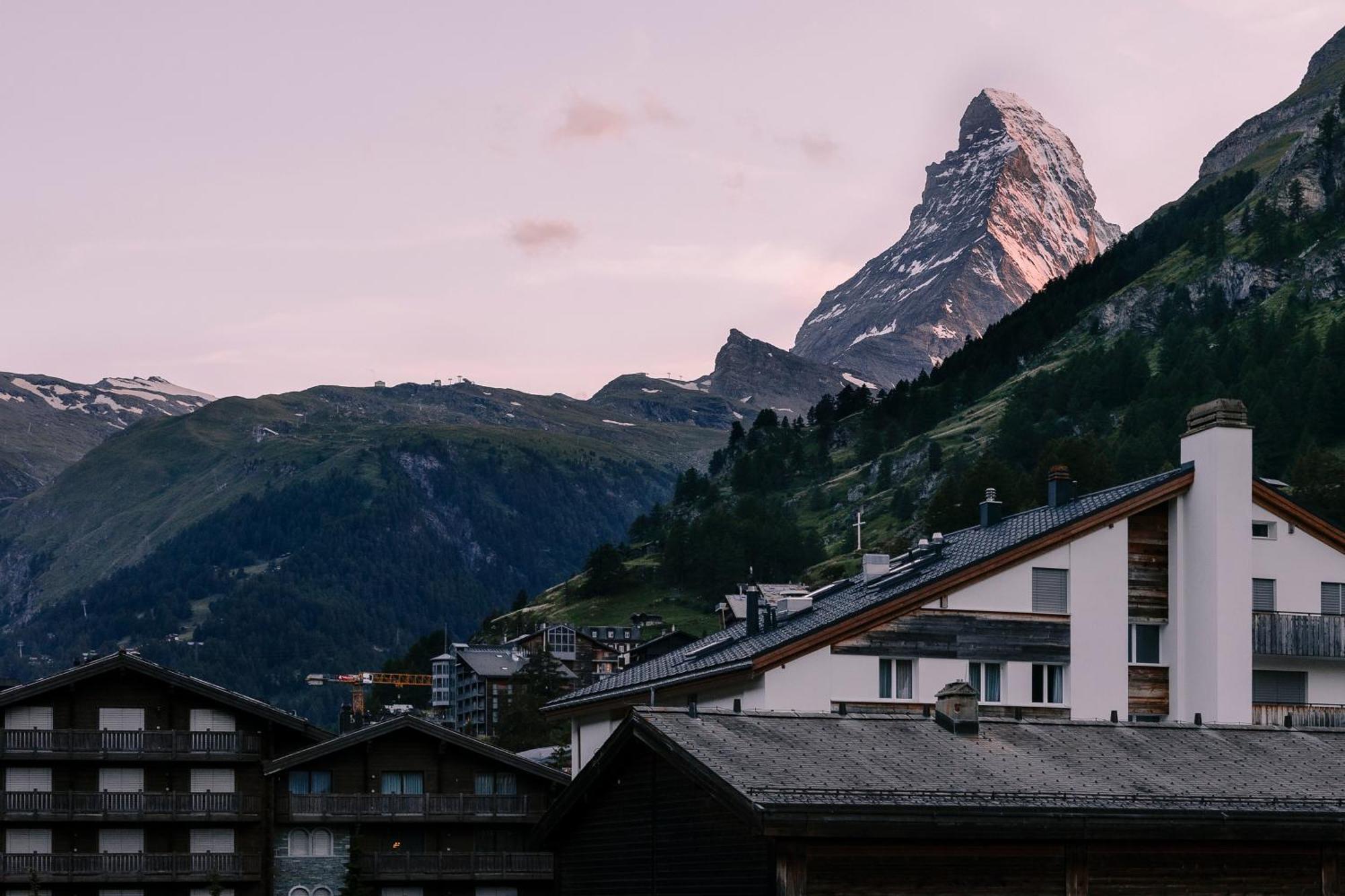 Hotel Schloss - Cbd & Adaptogenic And Sport
