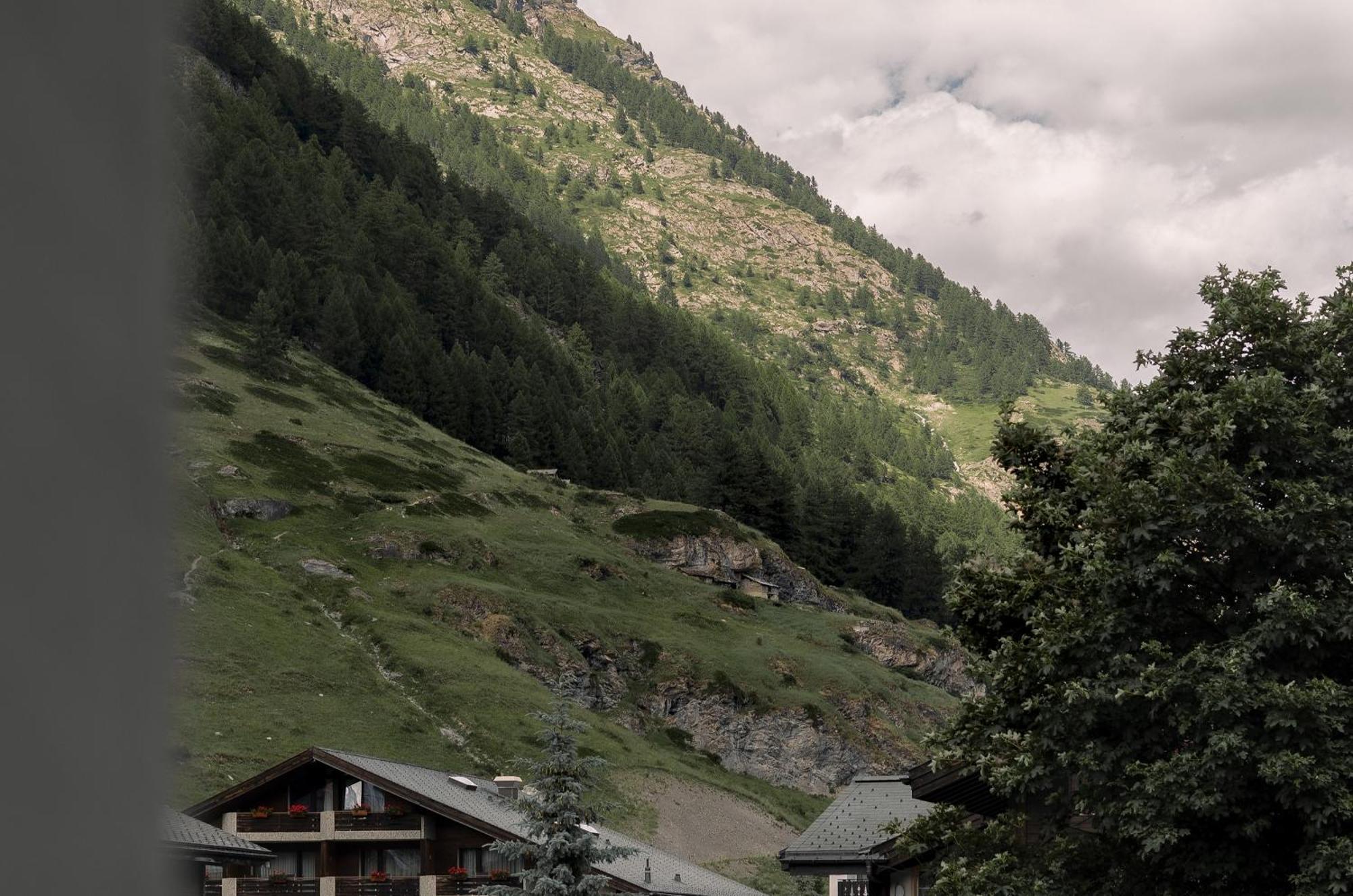 Hotel Schloss - Cbd & Adaptogenic And Sport 4*