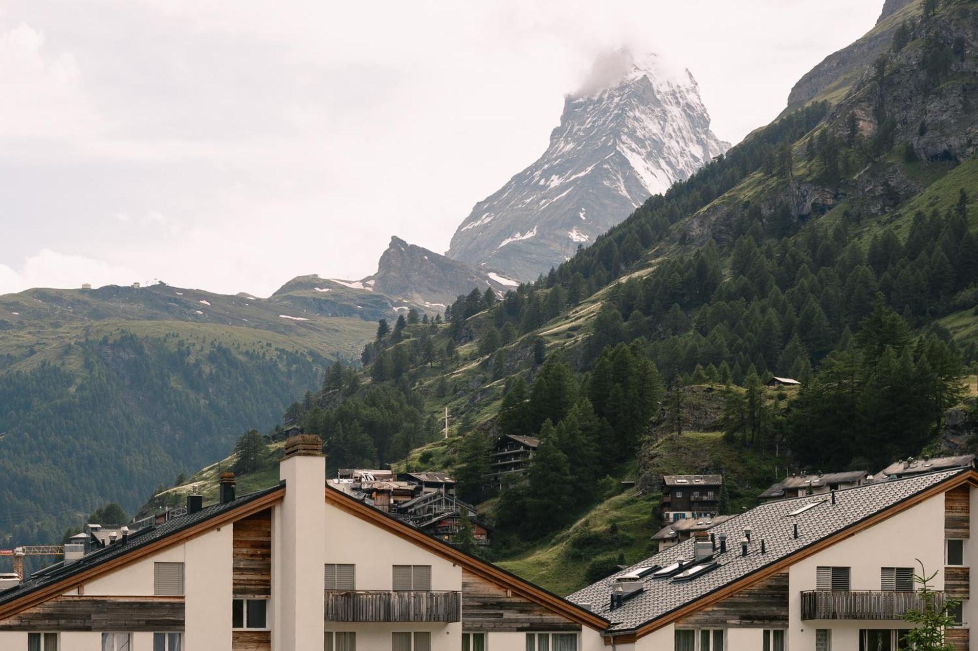 Hotel Schloss - Cbd & Adaptogenic And Sport