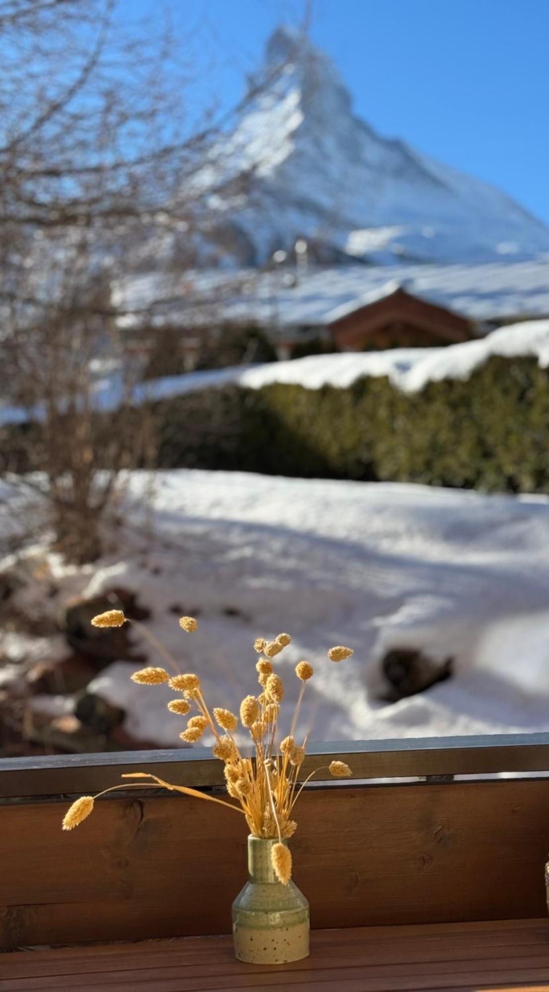 Hotel Sonnmatten Boutique & Zermatt