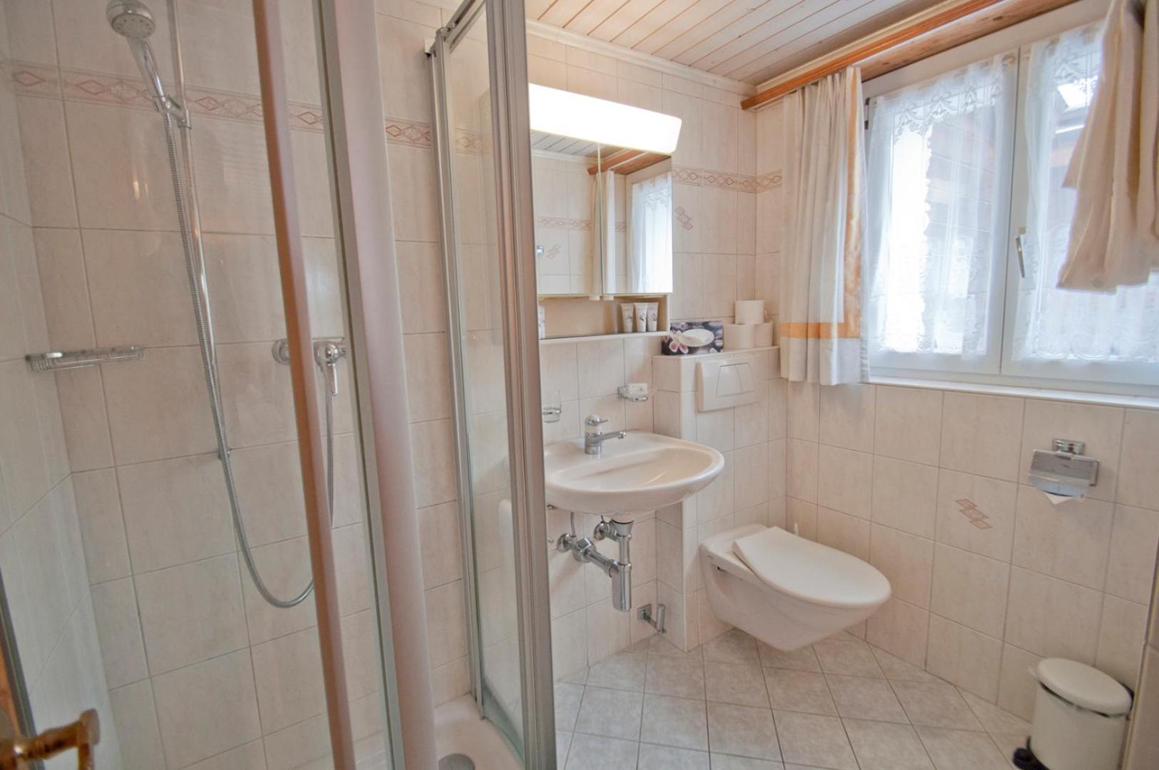 Aeschhorn Apartment *