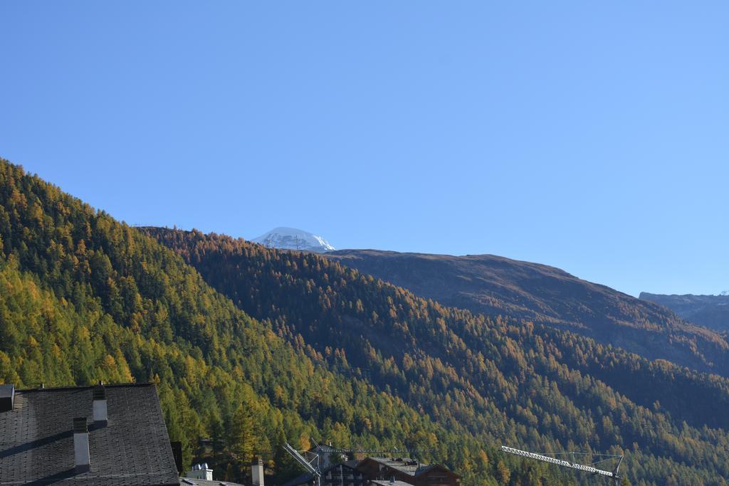 Haus Orta Apartment *