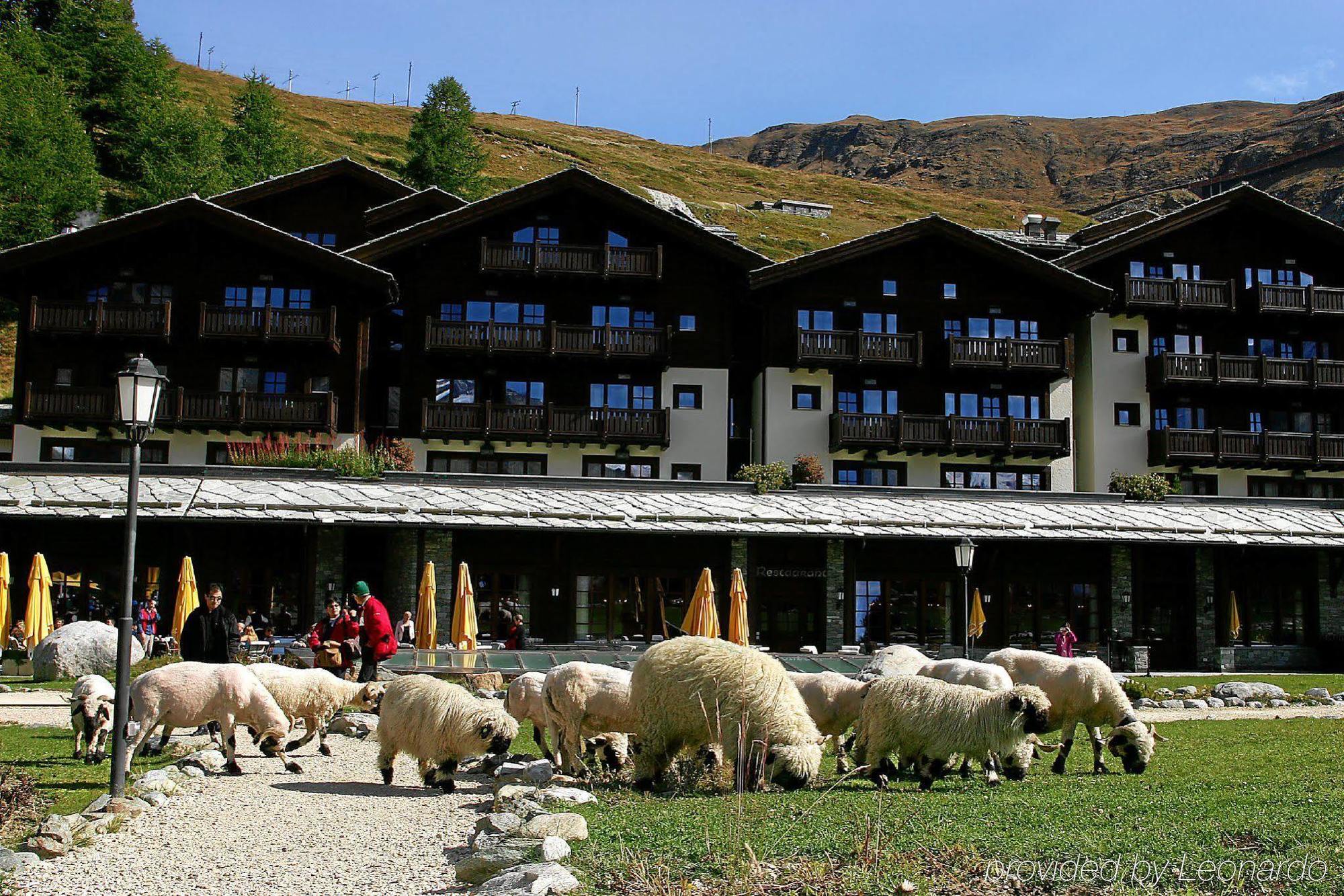 Riffelalp 2222m 5*