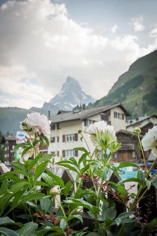 Parnass Zermatt