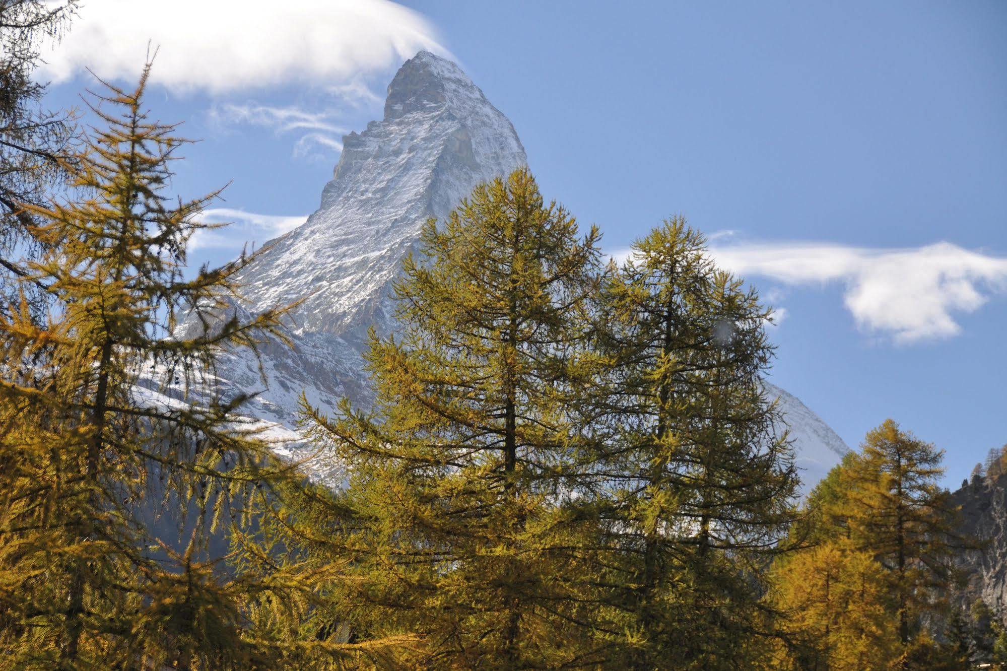 Youth Zermatt