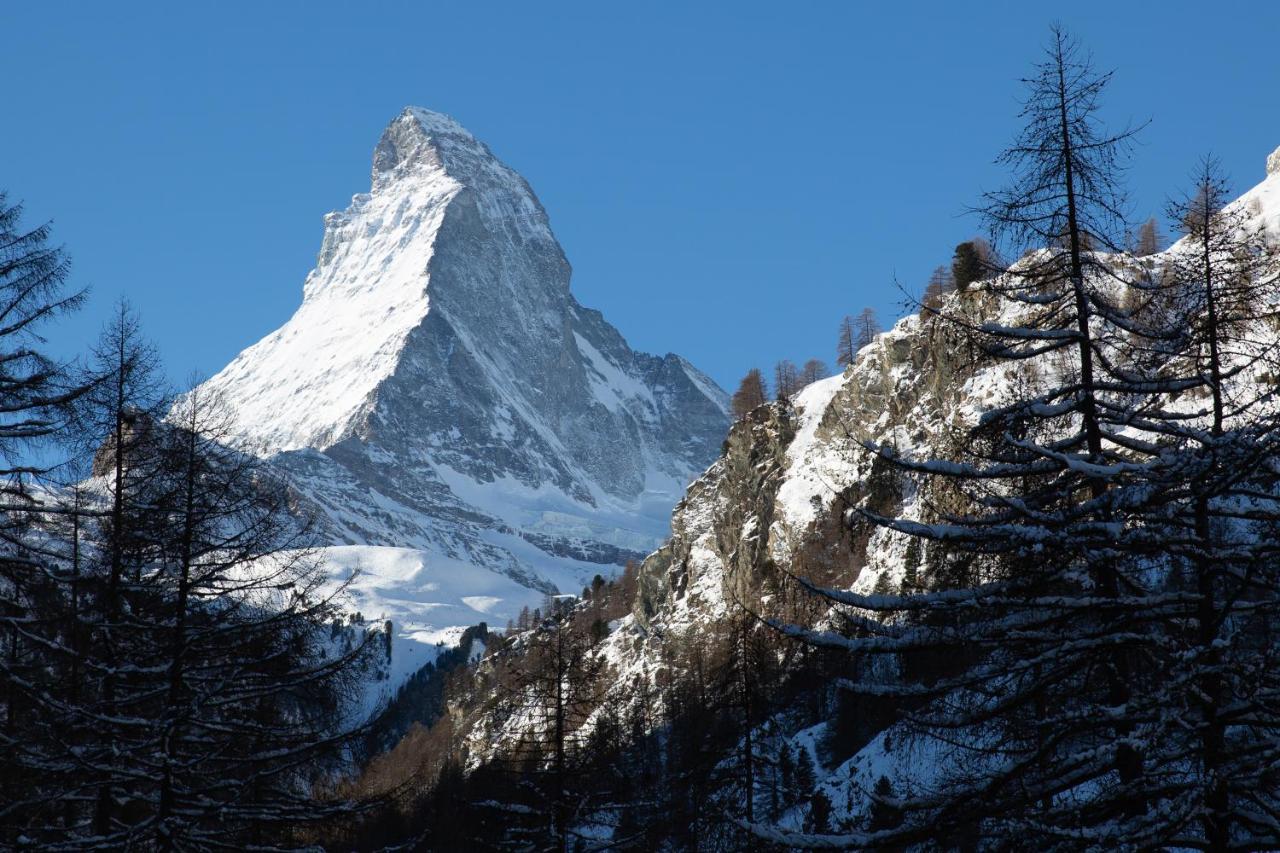Bolero 3.5 Zermatt