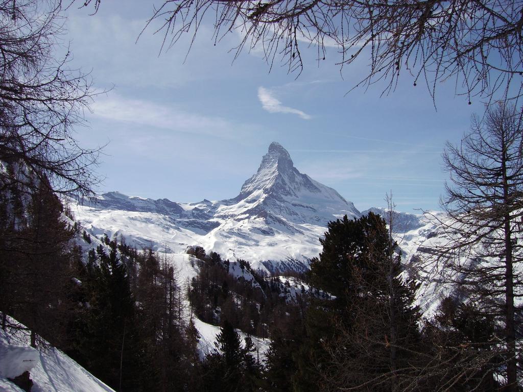Alfa Hotel Zermatt